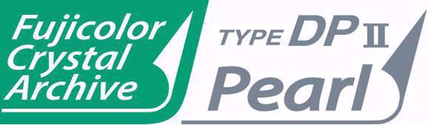 Bild på CLP CA  DPPELG  76.2X52.0 (replace 1046065)