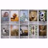 Picture of INSTAX MINI FILM STONE GRAY